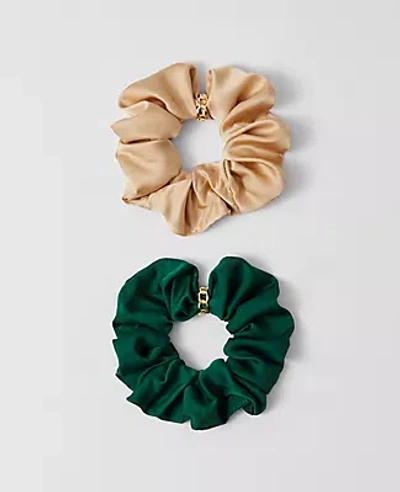 Ann Taylor Silk Scrunchie Set