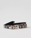 Ann Taylor Skinny Snake Patent Leather Belt In Black
