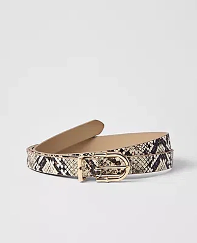 Ann Taylor Skinny Snake Print Belt In Multi
