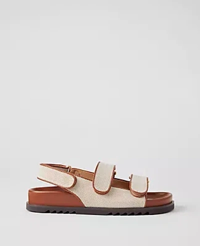 Ann Taylor Slingback Sport Sandals In Fresh Canvas