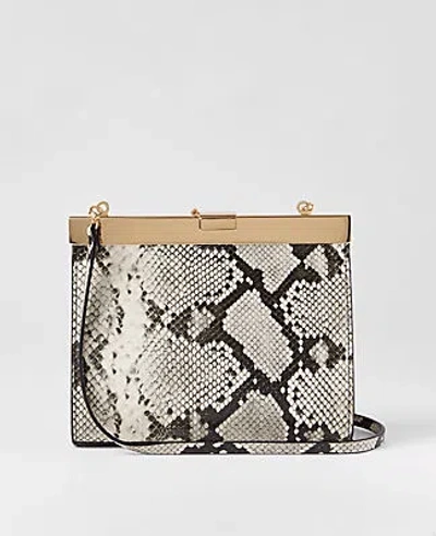 Ann Taylor Snake Clutch Bag In Black