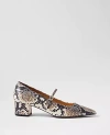 Ann Taylor Snake Print Pointy Toe Block Heel Pumps In Black