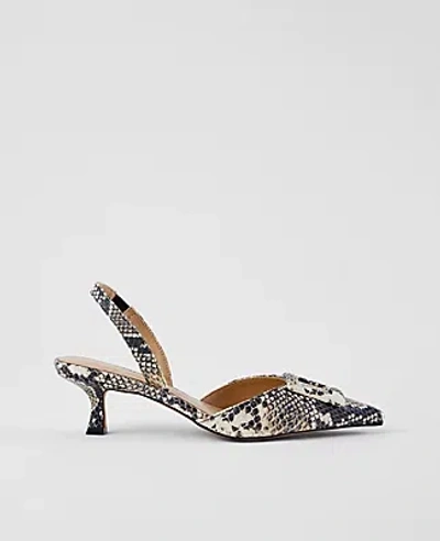 Ann Taylor Snake Print Pointy Toe Buckle Slingback Pumps In Black