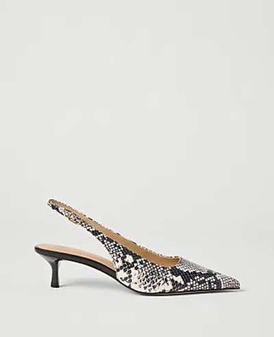 Ann Taylor Snake Print Slingback Pump In Multi