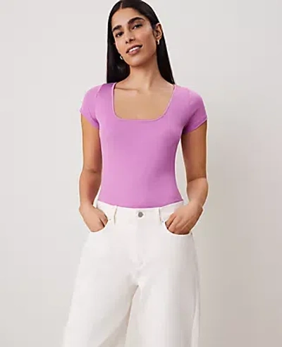 Ann Taylor Square Neck Tee In Orchid Glow