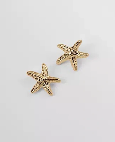 Ann Taylor Starfish Stud Earrings In Gold