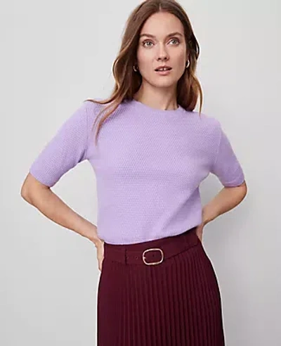 Ann Taylor Stitch Sweater Tee In Purple