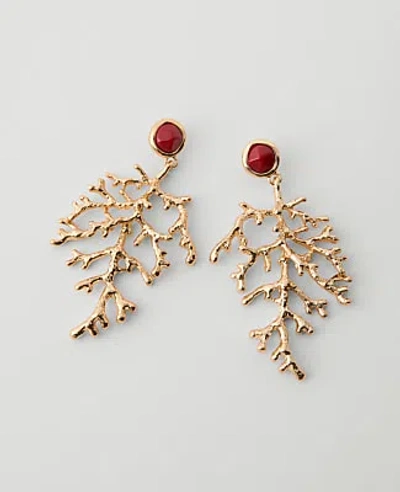 Ann Taylor Stone Drop Earrings In Gold