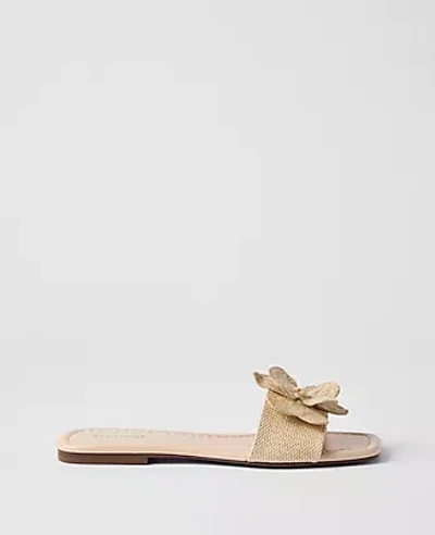 Ann Taylor Straw Flower Embellished Sandal In Brown