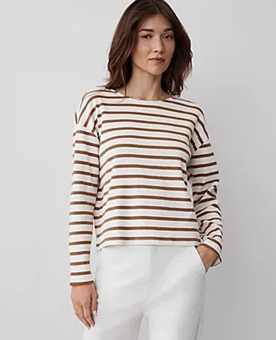 Ann Taylor Stripe Relaxed Long Sleeve Top In French Toast