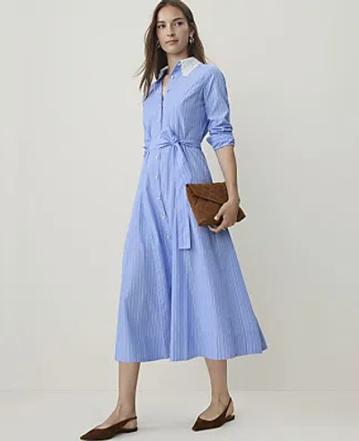 Ann Taylor Striped Lace Collar Midi Shirtdress In White-blue