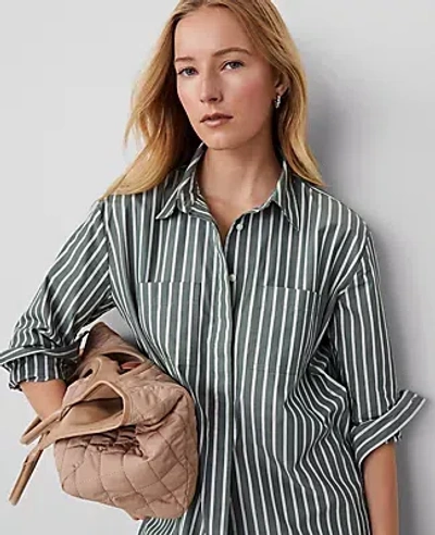 Ann Taylor Striped Pocket Tunic Shirt In Dried Cilantro