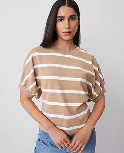 Ann Taylor Striped Ponte Dolman Top In Cappucino Tan
