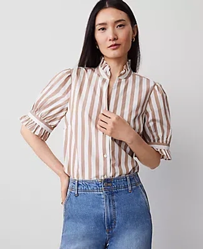 Ann Taylor Striped Ruffle Collar Blouse In Portabella