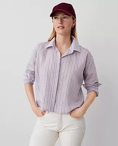 Ann Taylor Striped Shirt In Pink Multi