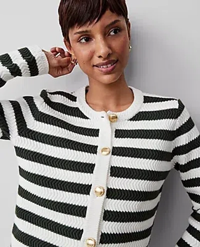 Ann Taylor Striped Stitched Jacket In Green/white Stripe