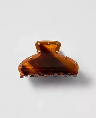 Ann Taylor Studded Acetate Hair Clip In Brown
