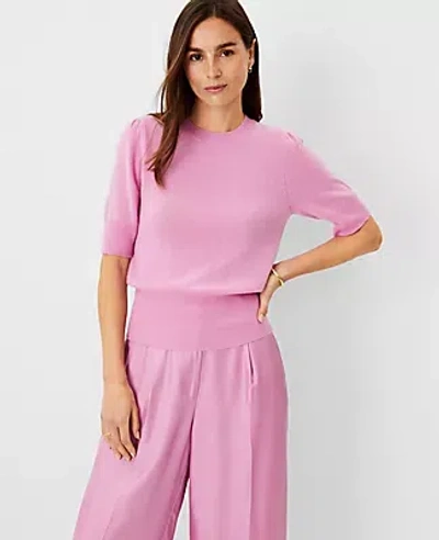 Ann Taylor Studio Collection Cashmere Puff Sleeve Sweater Tee In Raspberry Mousse