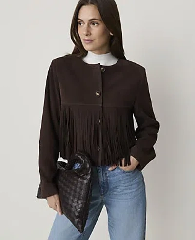 Ann Taylor Studio Collection Suede Fringe Jacket In Pure Chocolate