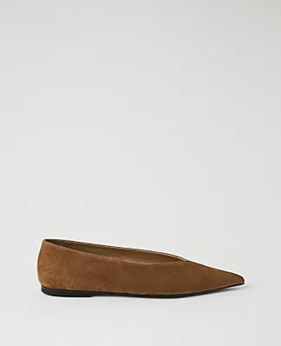 Ann Taylor Suede Ballet Flat In Coffee Bean