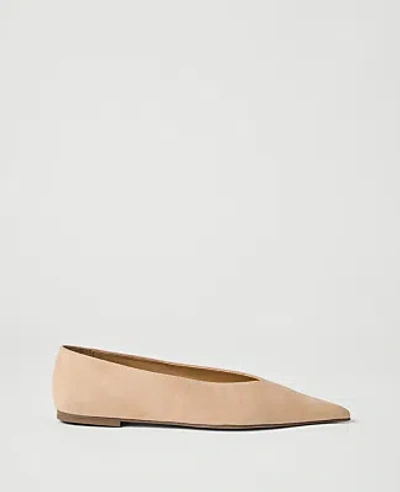 Ann Taylor Suede Ballet Flat In Dominican Sand