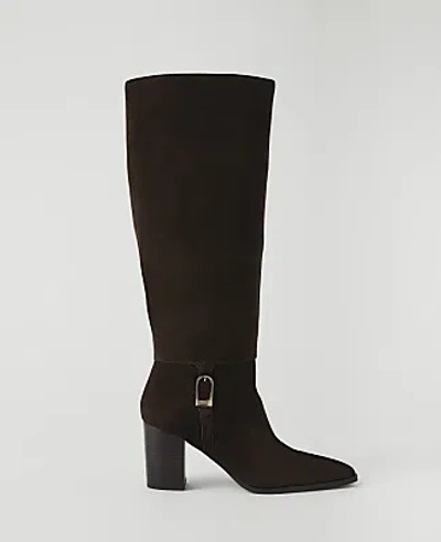 Ann Taylor Suede Block Heel Tall Boot In Pure Chocolate