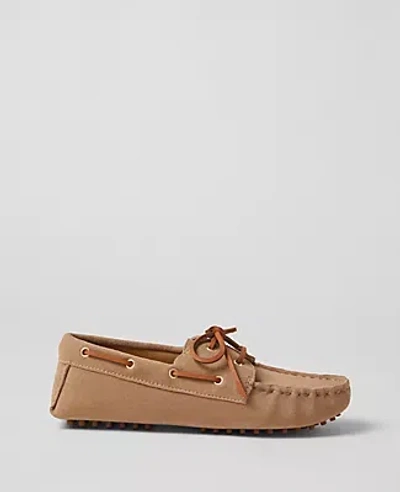 Ann Taylor Suede Boat Shoes In Cappuccino Tan
