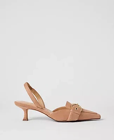 Ann Taylor Suede Buckle Slingback Pump In Brown