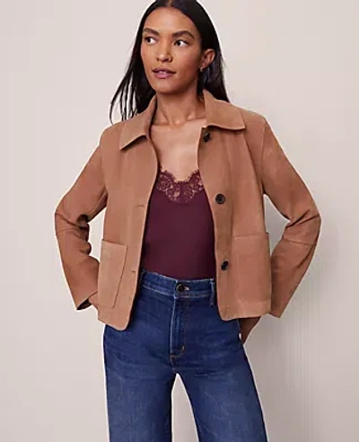 Ann Taylor Suede Collared Jacket