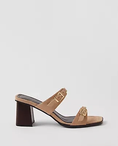 Ann Taylor Suede Double Strap Block Heel Sandals In Light Sand