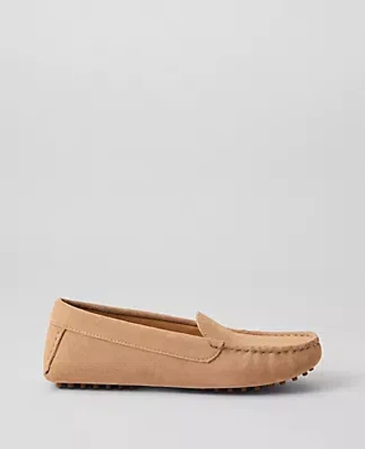 Ann Taylor Suede Driving Moccasins In Cappuccino Tan