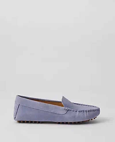 Ann Taylor Suede Driving Moccasins In Dusty Blue
