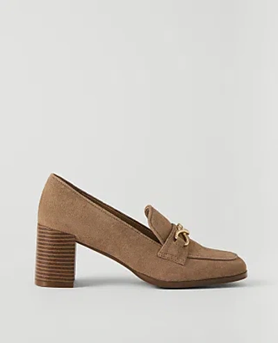 Ann Taylor Suede Hardware Embellished Loafer Pump In Multi