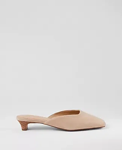 Ann Taylor Suede Kitten Heel Mule Pumps
