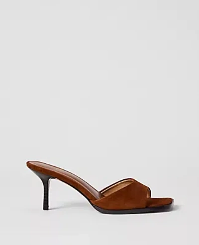Ann Taylor Suede Mule In Brown