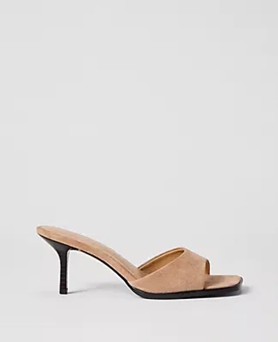Ann Taylor Suede Mule In Neutral