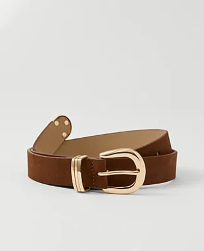 Ann Taylor Suede Multi Keeper Belt In Brown