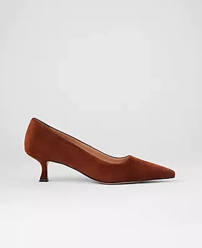 Ann Taylor Suede Nip Toe Kitten Heel Pumps In Brown