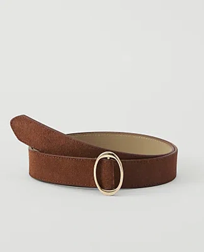 Ann Taylor Suede Oval Buckle Belt In Chestnut Brown
