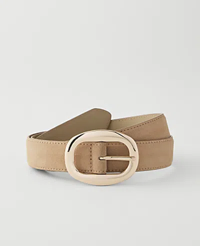 Ann Taylor Suede Oval Buckle Belt In Brown