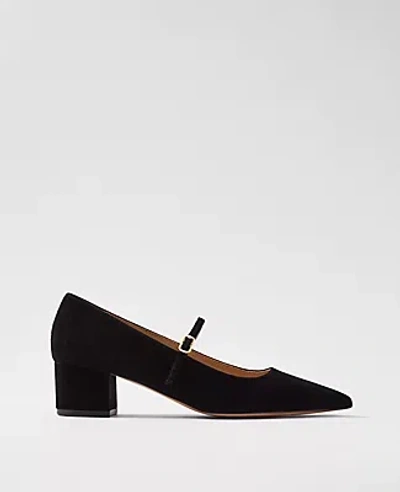 Ann Taylor Suede Pointy Toe Block Heel Pumps In Black