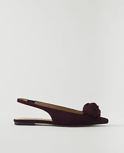Ann Taylor Suede Rosette Slingback Flat In Burgundy