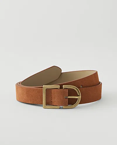 Ann Taylor Suede Rounded Buckle Belt In Brown