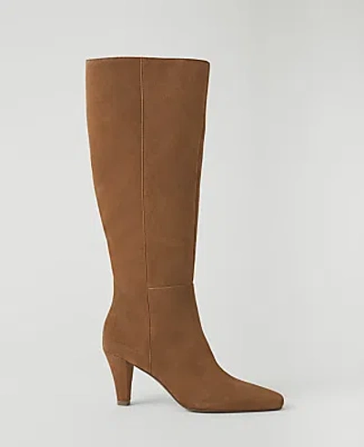 Ann Taylor Suede Skinny Heel Tall Boot In Coffee Bean