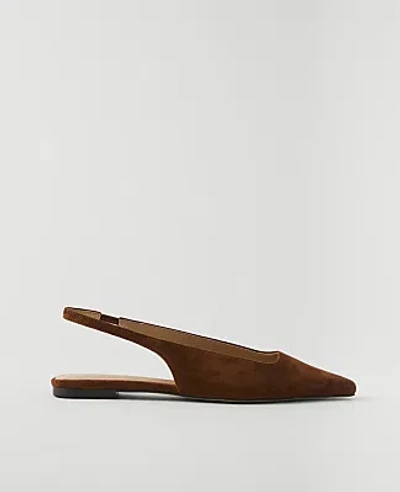 Ann Taylor Suede Slingback Flat In Brown