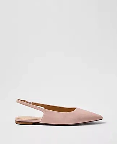 Ann Taylor Suede Slingback Flat In Pink