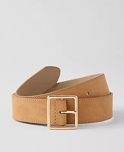Ann Taylor Suede Square Buckle Belt