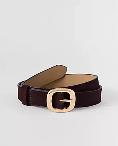 Ann Taylor Suede Square Buckle Belt In Brown