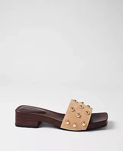 Ann Taylor Suede Studded Sandal In Brown