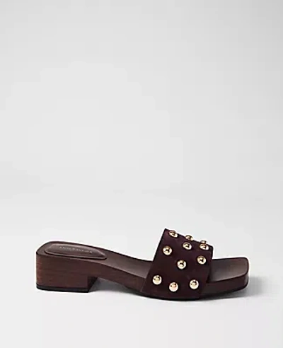 Ann Taylor Suede Studded Sandal In Brown